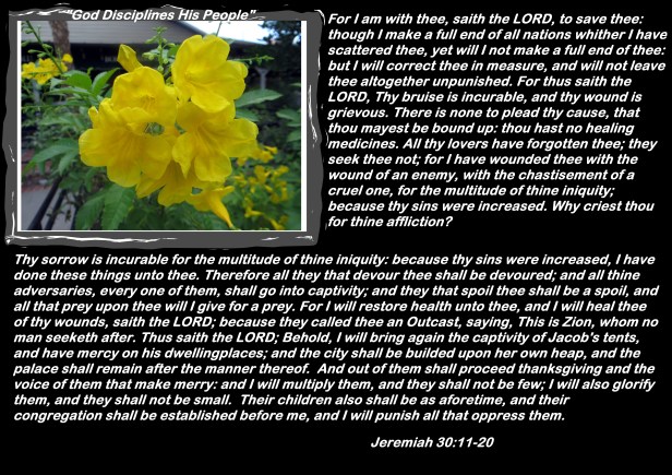 © Photo Artist Susan Ruth Robertson 090025006100 017 - Copy.JPG