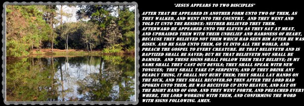 © Photo Artist Susan Ruth Robertson 090025006100 031 - Copy.JPG