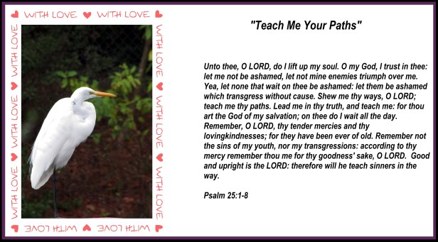 © Photo Artist Susan Ruth Robertson 090025006100 031 - Copy.JPG