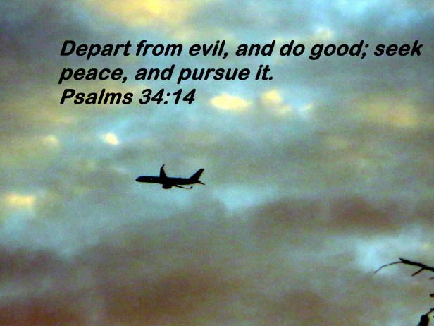 © Photo Artist Susan Ruth Robertson 090025006100 032 - Copy.JPG