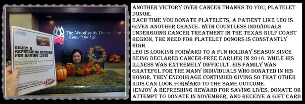 © Photo Artist Susan Ruth Robertson 090025006100 033.JPG