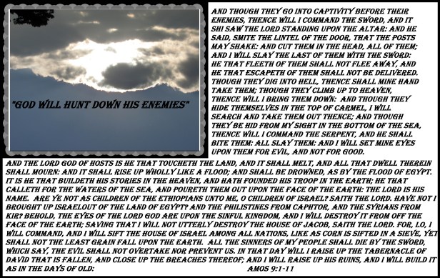 © Photo Artist Susan Ruth Robertson 090025006100 049.JPG