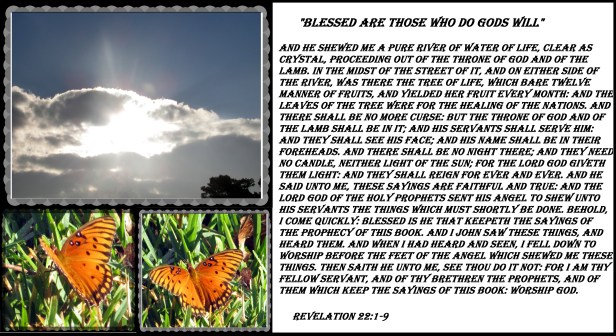 © Photo Artist Susan Ruth Robertson 090025006100 051.JPG