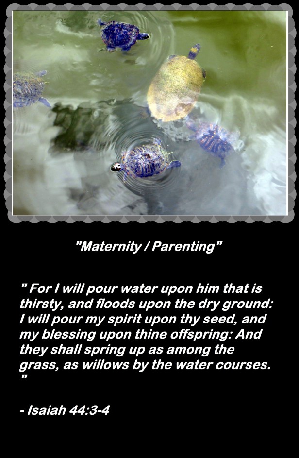 © Photo Artist Susan Ruth Robertson 090025006100 066 - Copy.JPG