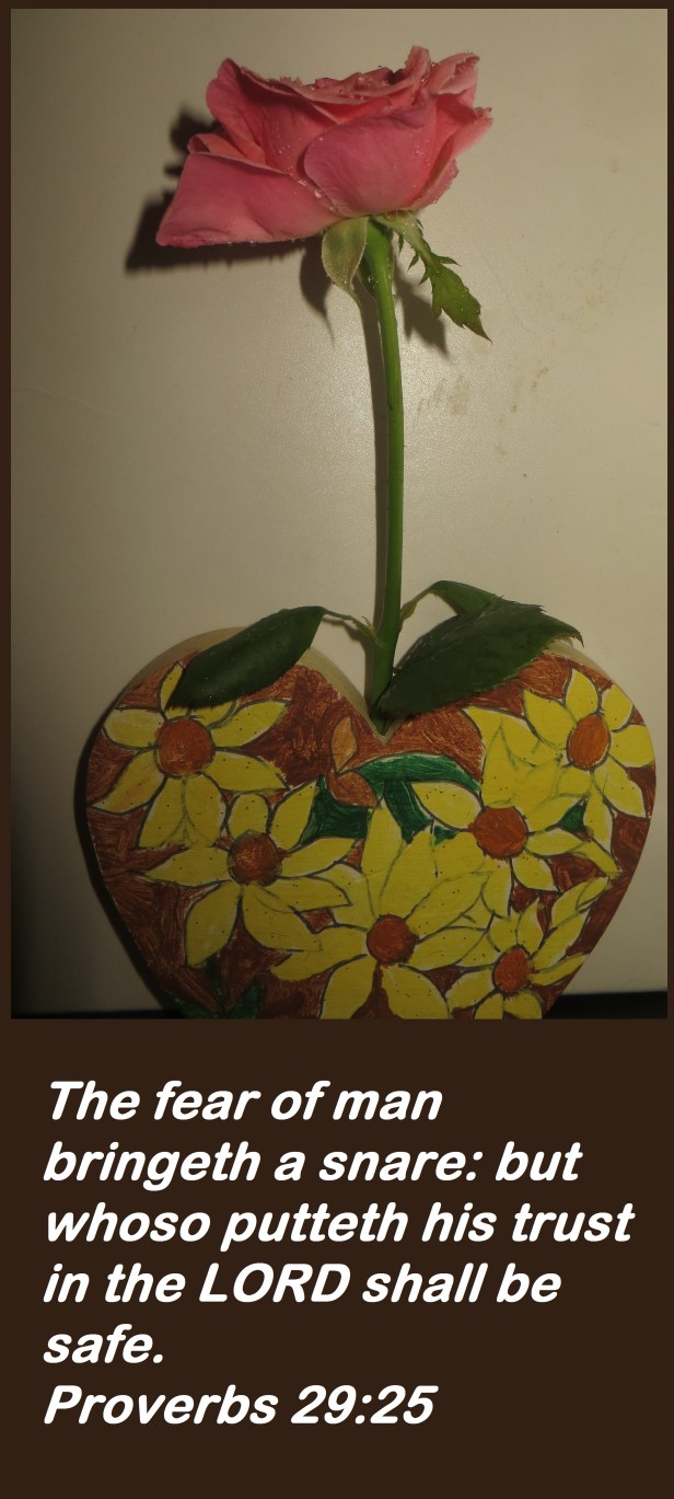 © Photo Artist Susan Ruth Robertson 090025006100 074.JPG