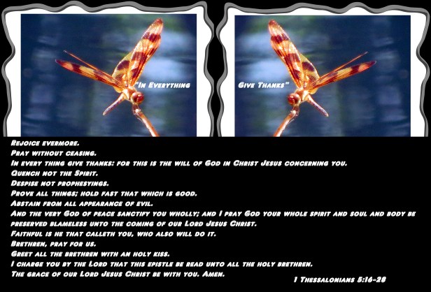 SX260 HS © Photo Artist Susan Ruth Robertson 090025006100 045 - Copy.JPG