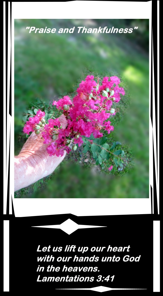 SX260 HS ©Photo Artist Susan Ruth Robertson 090025006100 010 - Copy.JPG