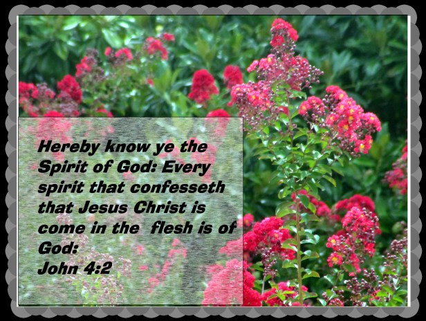 © Photo Artist Susan Ruth Robertson 016 - Copy.JPG