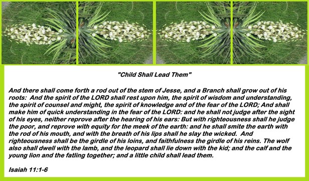 © Photo Artist Susan ruth Robertson 09002500100 009 - Copy.JPG