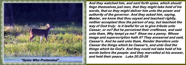 © Photo Artist Susan Ruth Robertson 090025006100 001 - Copy.JPG