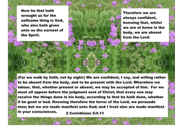 © Photo Artist Susan Ruth Robertson 090025006100 005 - Copy - Copy - Copy.JPG