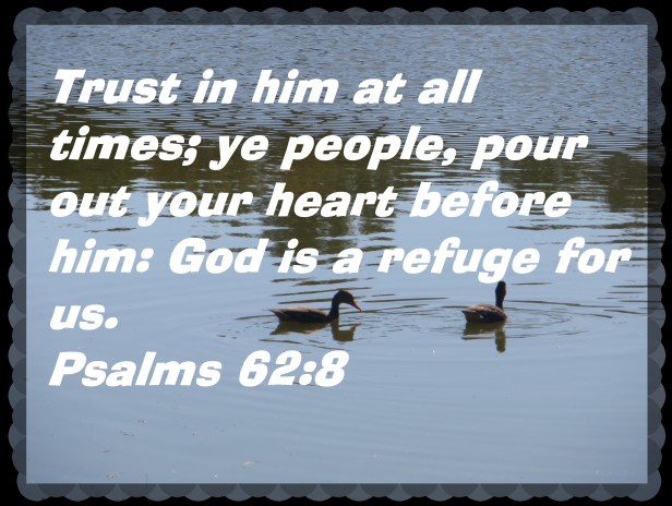 © Photo Artist Susan Ruth Robertson 090025006100 005 - Copy - Copy.JPG