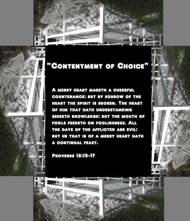 © Photo Artist Susan Ruth Robertson 090025006100 006 - Copy.JPG