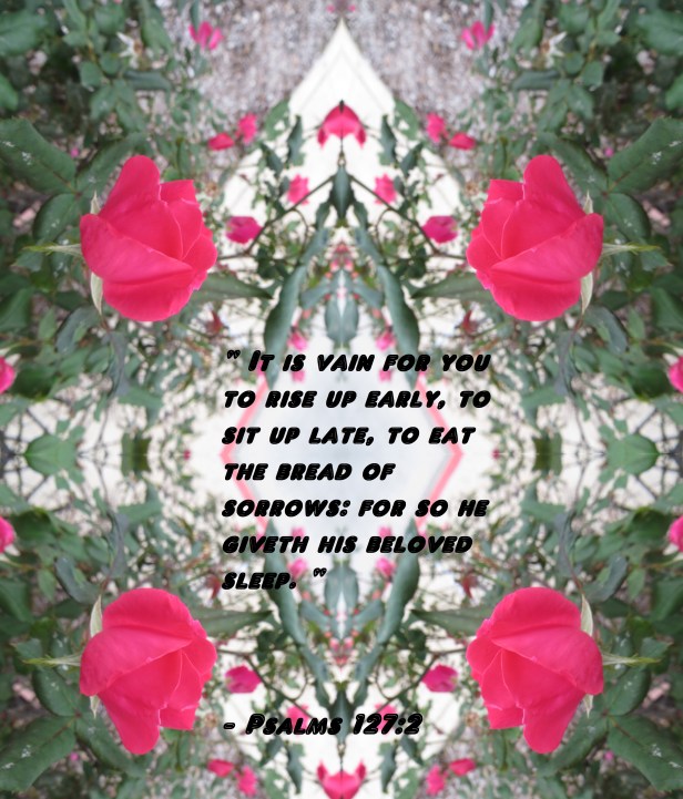 © Photo Artist Susan Ruth Robertson 090025006100 007 - Copy (3) - Copy.JPG