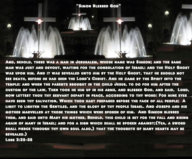 © Photo Artist Susan Ruth Robertson 090025006100 008 - Copy - Copy.JPG