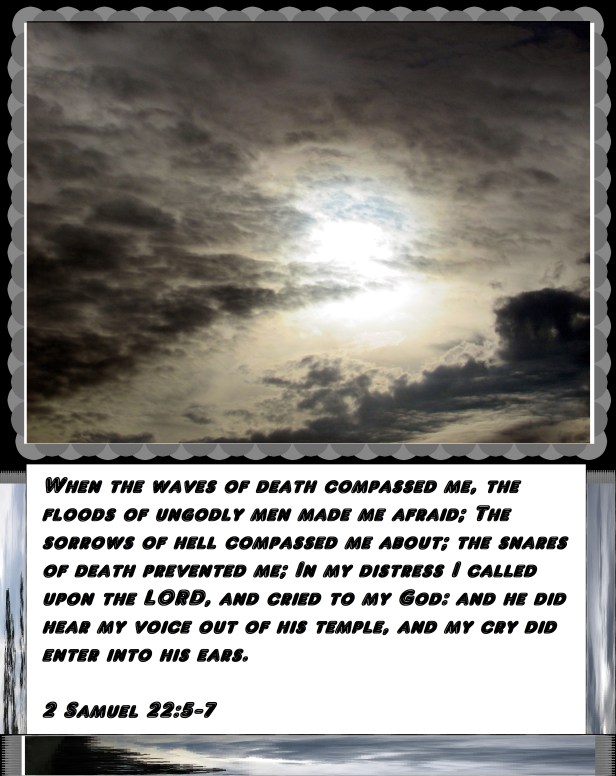 © Photo Artist Susan Ruth Robertson 090025006100 008 - Copy.JPG