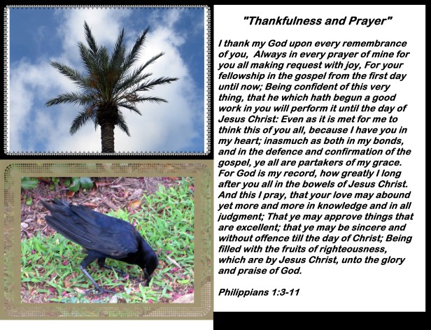 © Photo Artist Susan Ruth Robertson 090025006100 012 - Copy (2).JPG