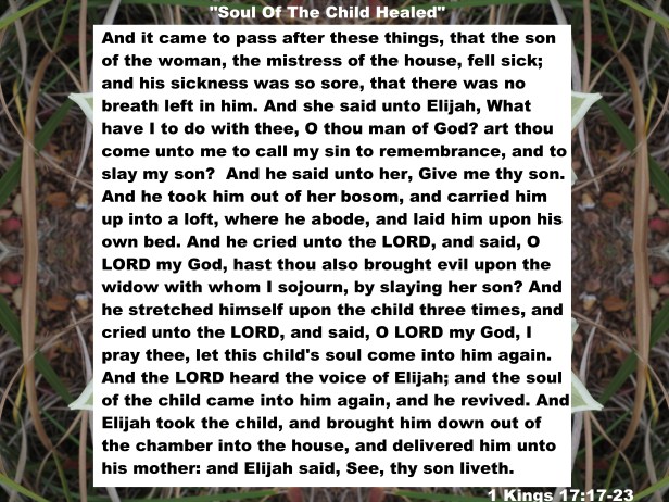 © Photo Artist Susan Ruth Robertson 090025006100 014 - Copy - Copy.JPG