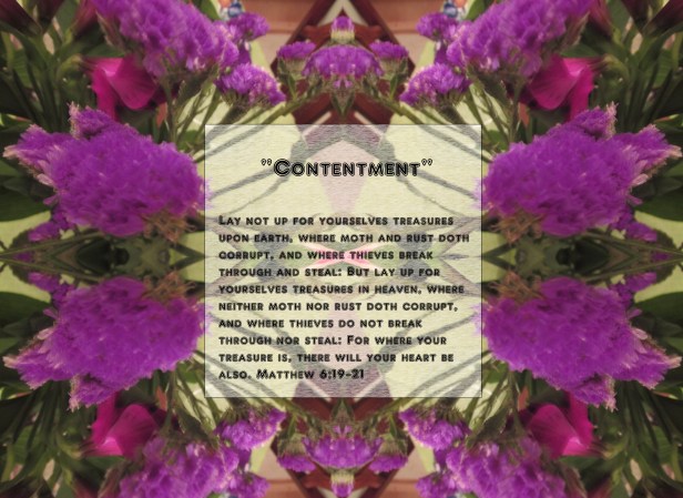 © Photo Artist Susan Ruth Robertson 090025006100 019 - Copy - Copy.JPG