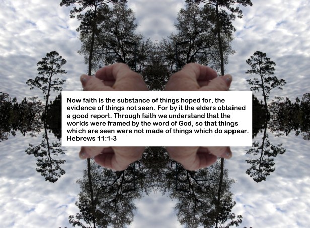 © Photo Artist Susan Ruth Robertson 090025006100 021 - Copy.JPG