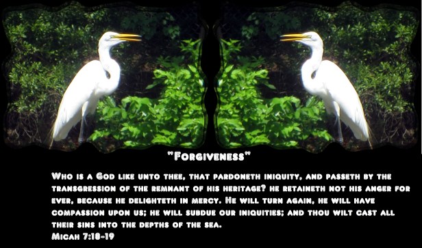 © Photo Artist Susan Ruth Robertson 090025006100 026.JPG