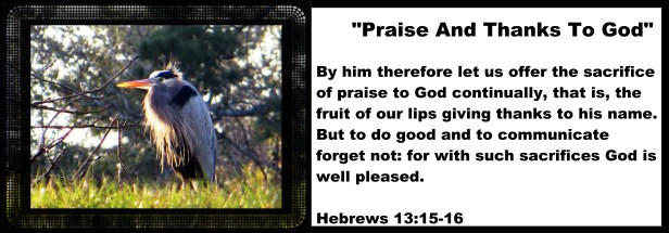 © Photo Artist Susan Ruth Robertson 090025006100 031 - Copy.JPG