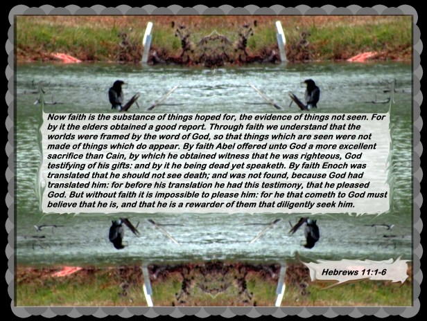 © Photo Artist Susan Ruth Robertson 090025006100 037 - Copy.JPG