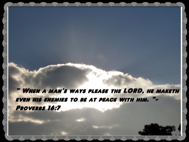 © Photo Artist Susan Ruth Robertson 090025006100 050 - Copy.JPG