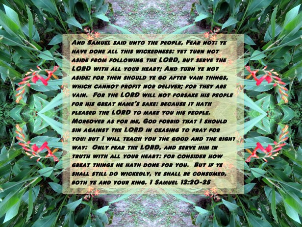 © Photo Artist Susan Ruth Robertson 005 - Copy - Copy.JPG