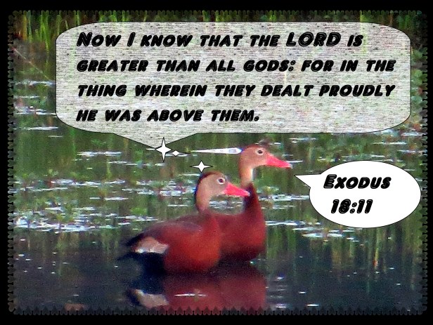 © Photo Artist Susan Ruth Robertson 090025006100 006 - Copy.JPG