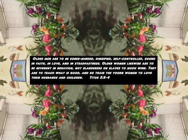 © Photo Artist Susan Ruth Robertson 090025006100 007 - Copy (2) - Copy.JPG