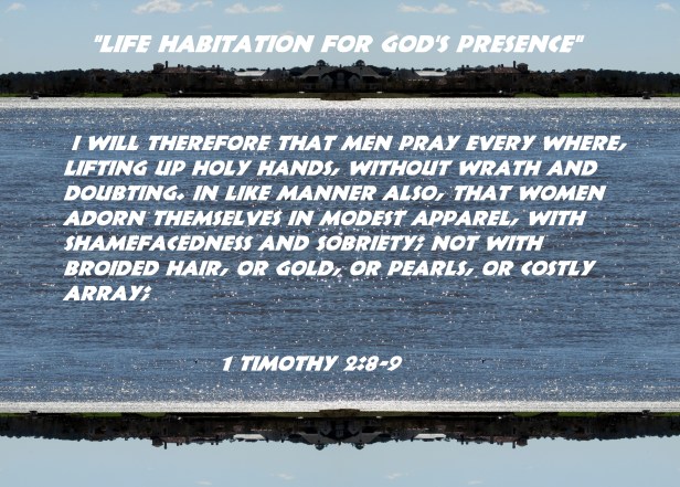 © Photo Artist Susan Ruth Robertson 090025006100 010 - Copy - Copy.JPG