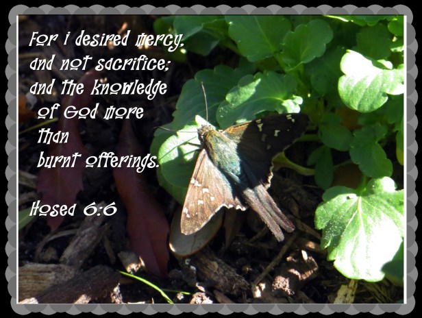 © Photo Artist Susan Ruth Robertson 090025006100 010.JPG