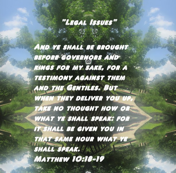 © Photo Artist Susan Ruth Robertson 090025006100 011 - Copy - Copy (2).JPG