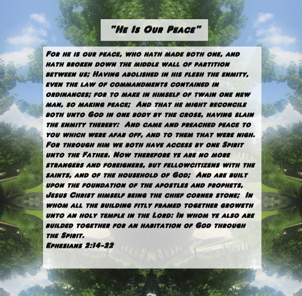 © Photo Artist Susan Ruth Robertson 090025006100 011 - Copy - Copy.JPG