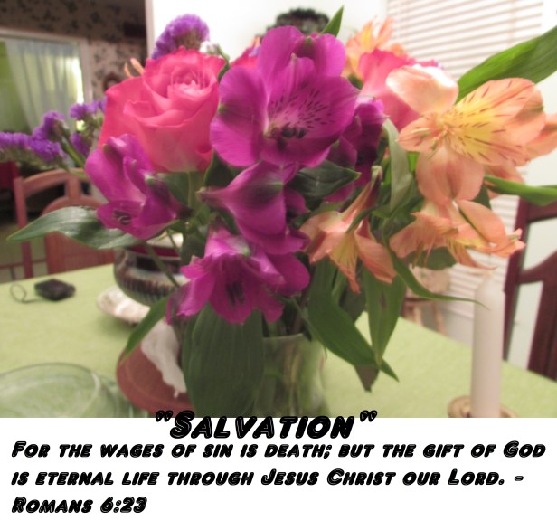 © Photo Artist Susan Ruth Robertson 090025006100 012 - Copy.JPG