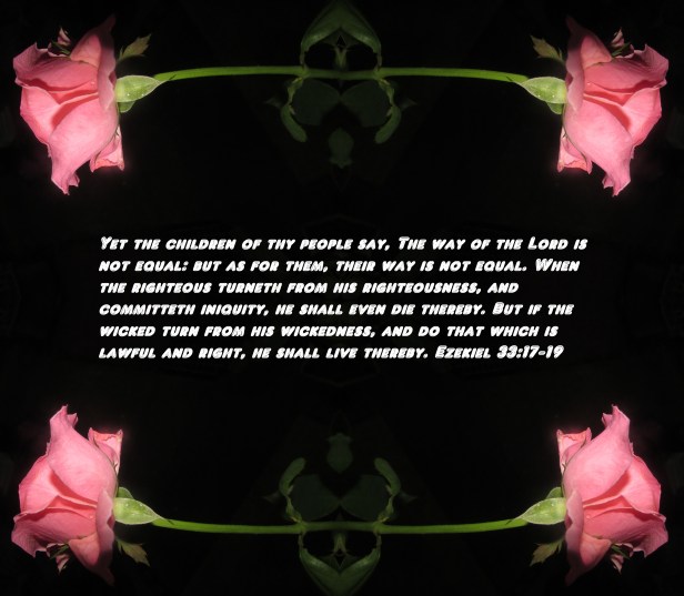 © Photo Artist Susan Ruth Robertson 090025006100 015 - Copy.JPG