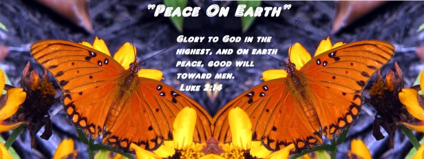 © Photo Artist Susan Ruth Robertson 090025006100 019 - Copy.JPG