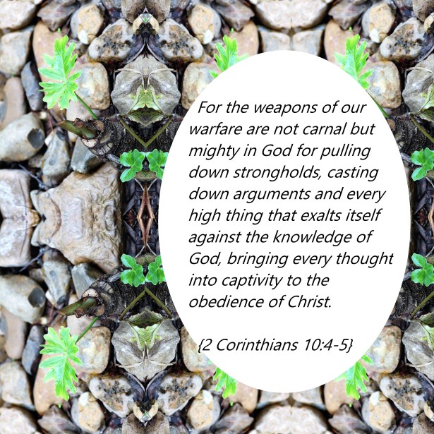 © Photo Artist Susan Ruth Robertson 090025006100 020 - Copy - Copy.JPG