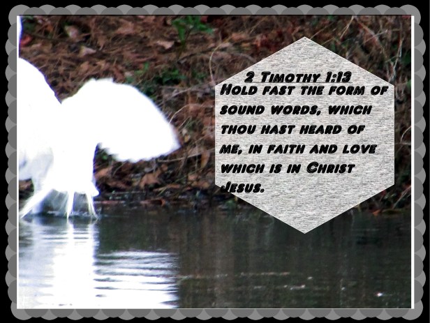 © Photo Artist Susan Ruth Robertson 090025006100 026 - Copy.JPG