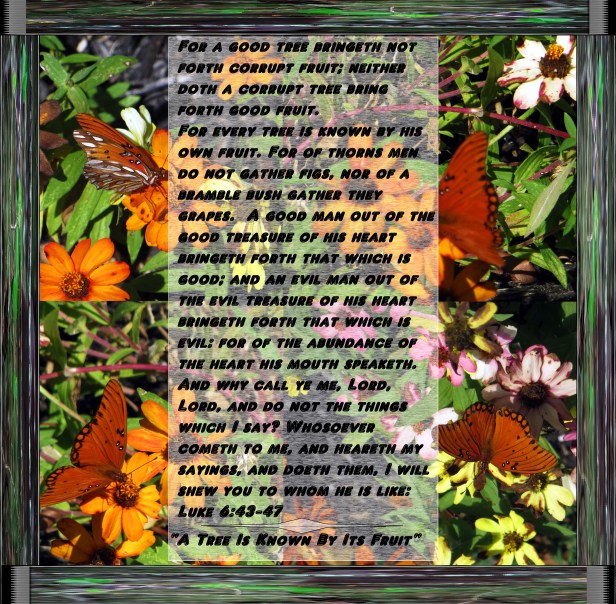 © Photo Artist Susan Ruth Robertson 090025006100 042.JPG