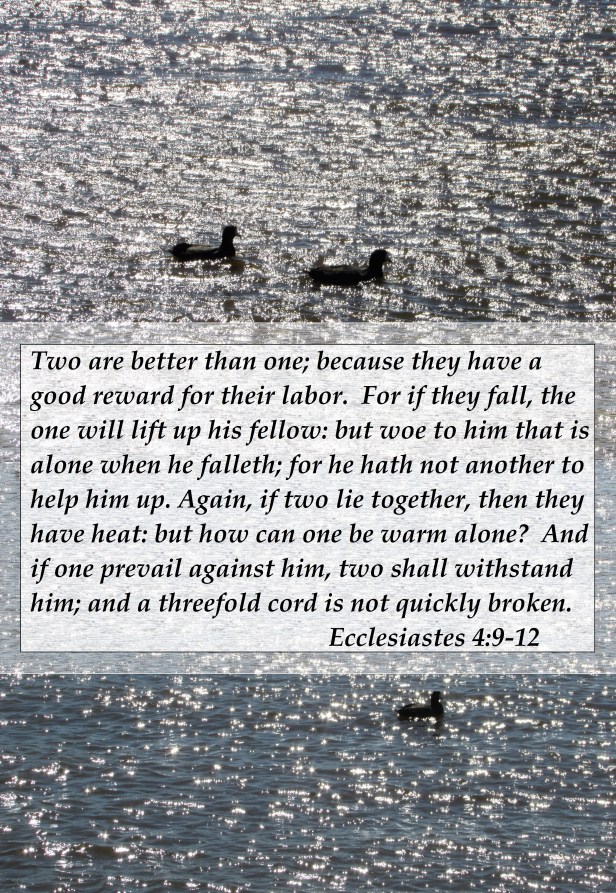 © Photo Artist Susan Ruth Robertson 090025006100 057.JPG