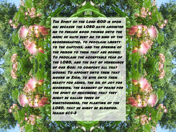 © Photo Artist Susan Ruth Robertson 090025006100 (34) - Copy - Copy.JPG