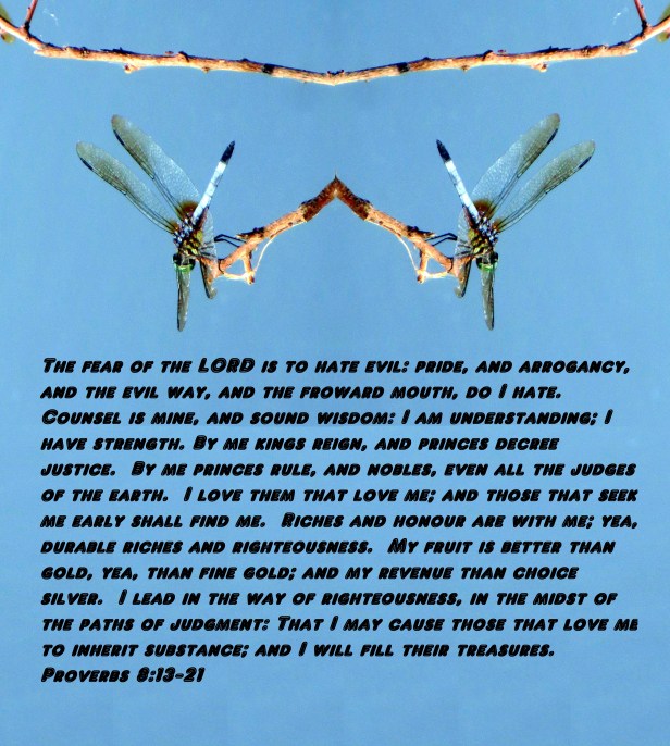 SX260 HS © Photo Artist Susan Ruth Robertson 090025006100 046 - Copy - Copy.JPG