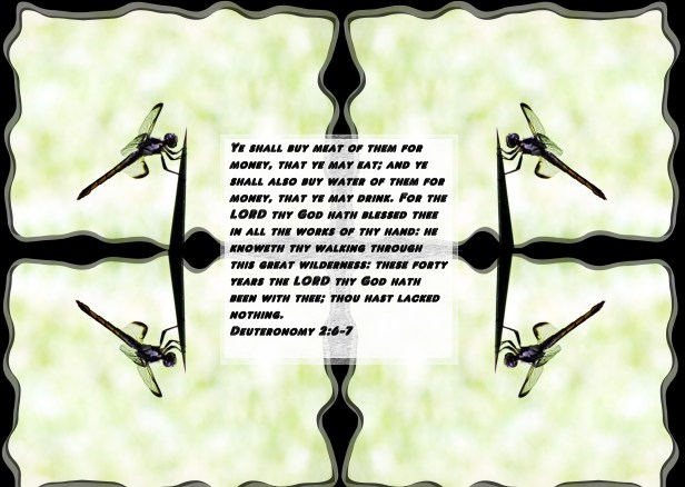 SX400 IS © Photo Artist Susan Ruth Robertson 090025006100 025 - Copy - Copy.JPG