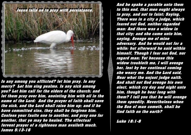 © Photo Artist Susan ruth Robertson 09002500100 012.JPG