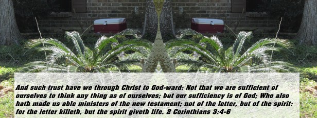 © Photo Artist Susan Ruth Robertson 090025006100 002 - Copy.JPG