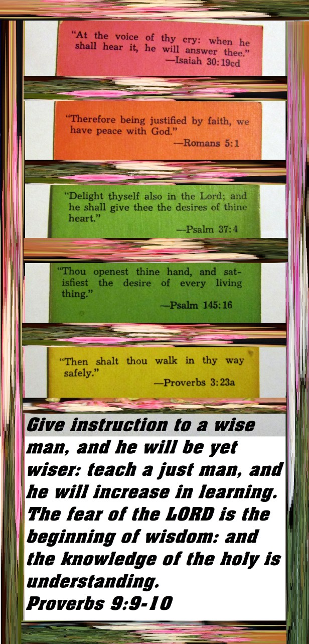 © Photo Artist Susan Ruth Robertson 090025006100 002 - Copy.JPG