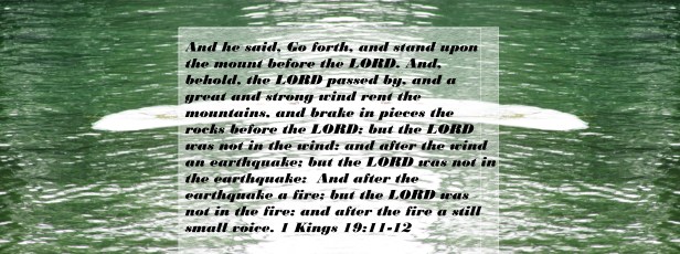 © Photo Artist Susan Ruth Robertson 090025006100 002.JPG