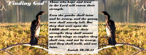 © Photo Artist Susan Ruth Robertson 090025006100 006 - Copy - Copy.JPG